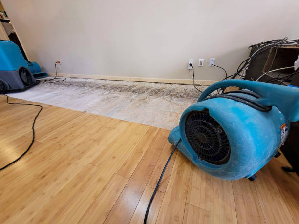 Professional Flood Damage Cleanup technician working in Atoka, NM